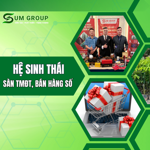Sàn Thương Mại Điện Tử, Kênh Bán Hàng Số, Cửa Hàng Số